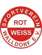 Image/team/images/1gt31j3vzga.png